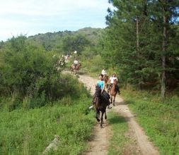 cabalgata 