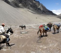 Transporte de cargas con mulas