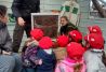 Taller de apicultura