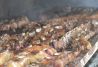 asado en la estancia 