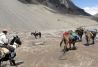 Transporte de cargas con mulas