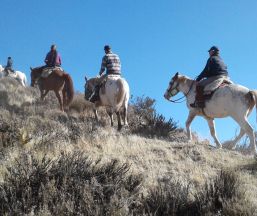 Patagonia Horse Riding  Empresa Patagonia Horse Riding 